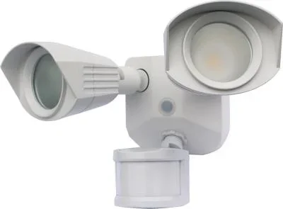LED Dual Head Security Light893185