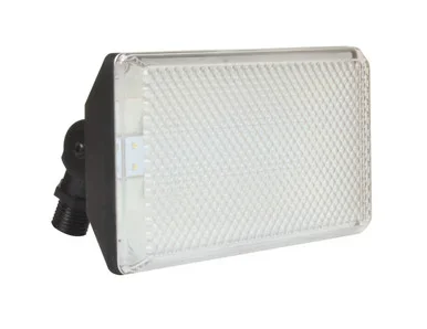 Led Flood LED Outdoor Flood (TPDW1300L50BK)