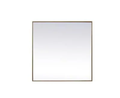 Mirror8971388