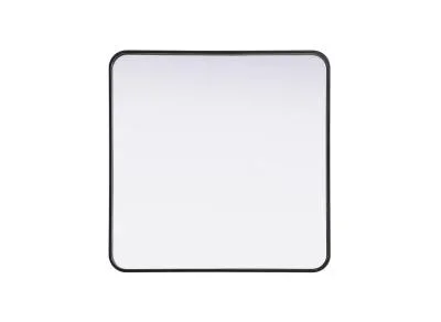 Mirror9204665