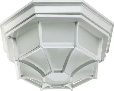 One Light Ceiling Mount814995