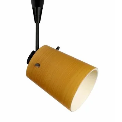 Spotlight8016332